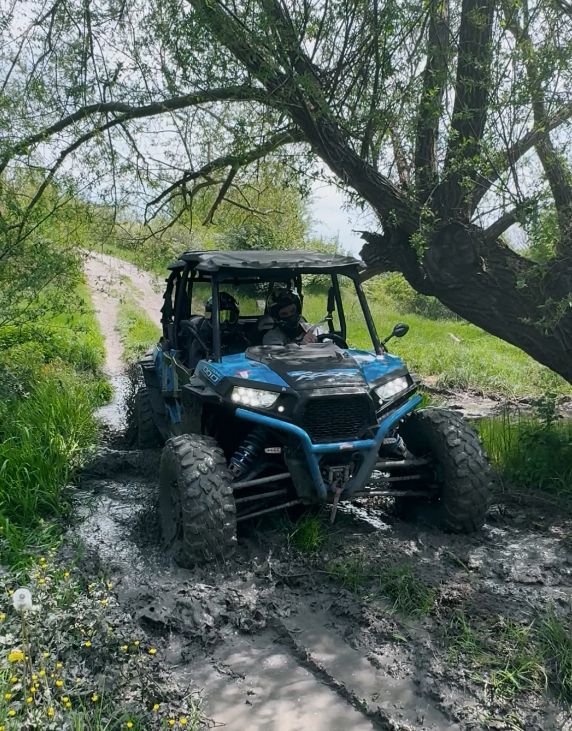 ШОФИРАНЕ НА БЪГИ